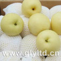 Juicy Fresh Golden Pear